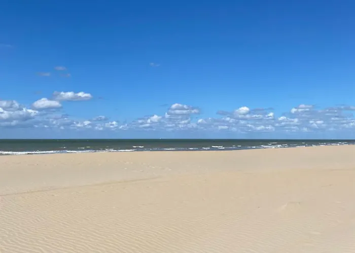 Julia's Surf Shack Apartamento *